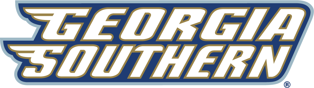Georgia Southern Eagles 2004-Pres Wordmark Logo v3 iron on transfers for clothing